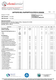 rapporto di analisi